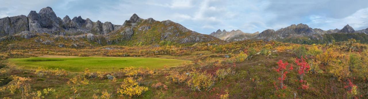 Wildlife Panorama Lofoten Bostad Εξωτερικό φωτογραφία