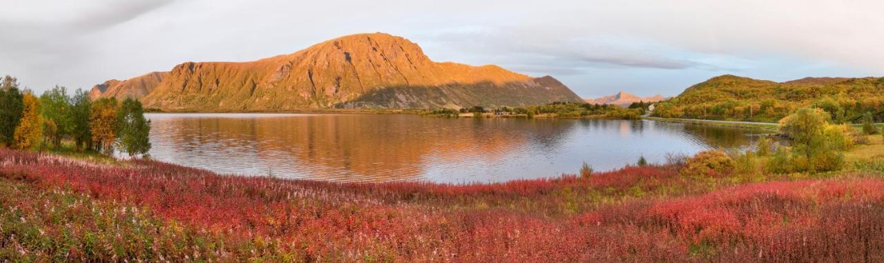 Wildlife Panorama Lofoten Bostad Εξωτερικό φωτογραφία