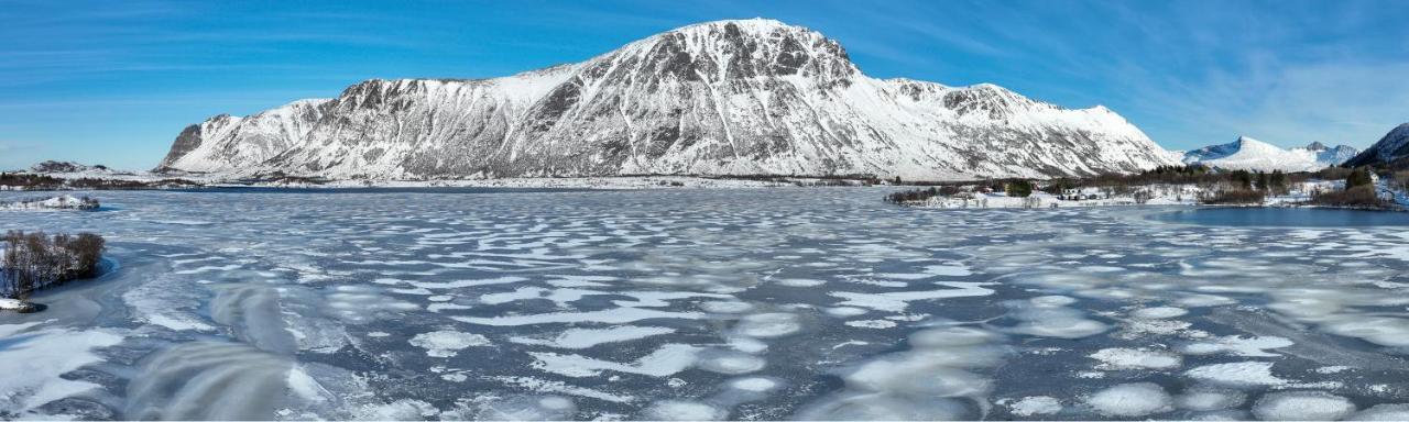 Wildlife Panorama Lofoten Bostad Εξωτερικό φωτογραφία