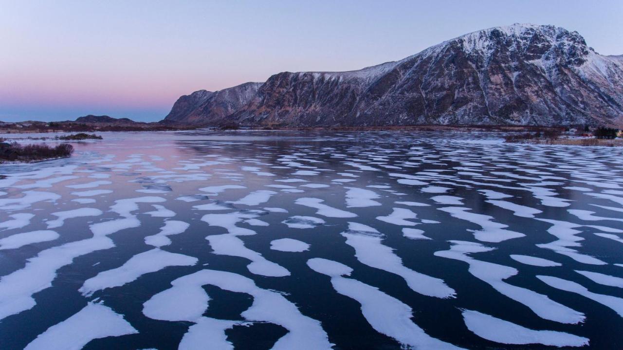 Wildlife Panorama Lofoten Bostad Εξωτερικό φωτογραφία