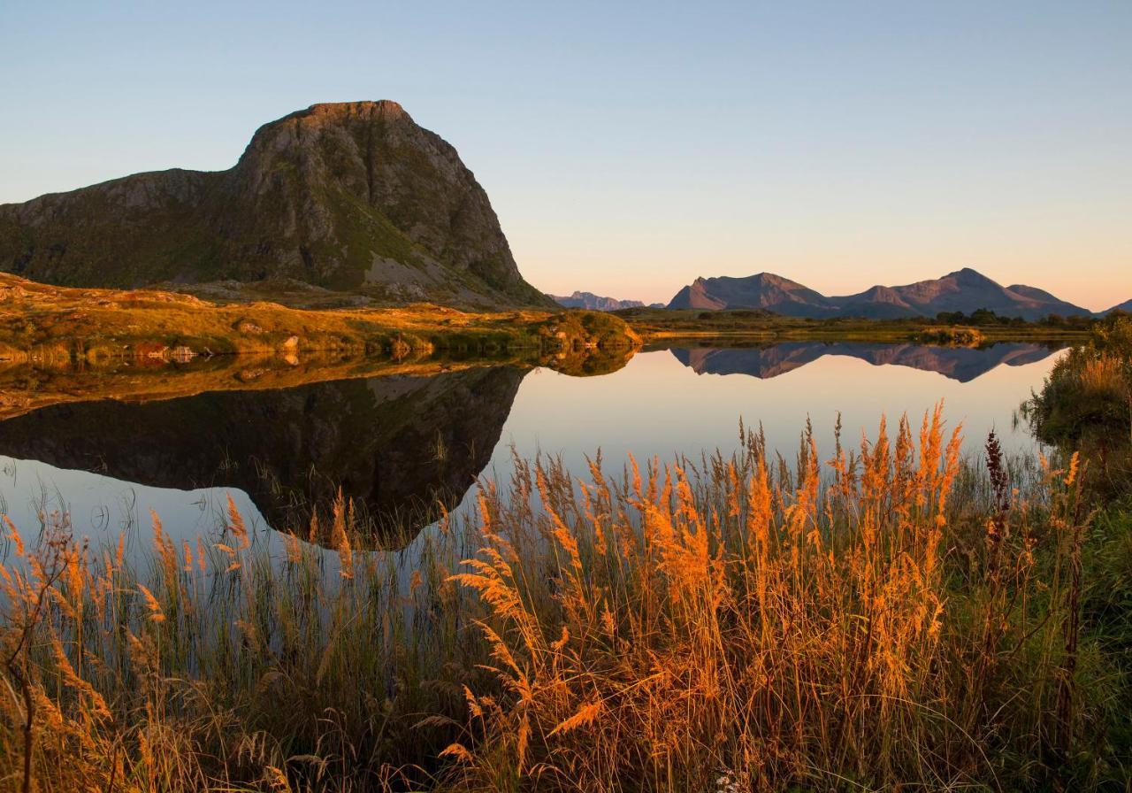 Wildlife Panorama Lofoten Bostad Εξωτερικό φωτογραφία